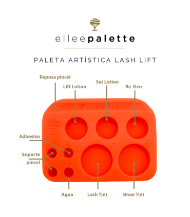 Paleta Elleepalette: Organiza tu Lash Lift y Tinte 🤩