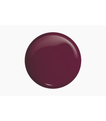 Victoria Vynn - Gel Pure 217 Twilight in Paris 8ml