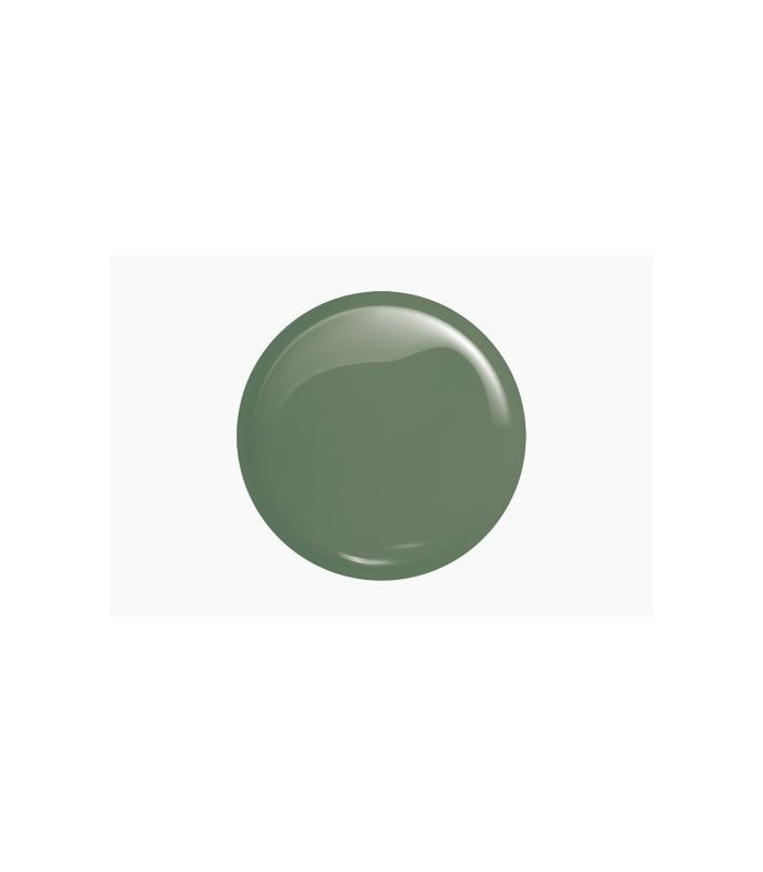 Victoria Vynn - Gel Polish 209 Dusty Green 8ml
