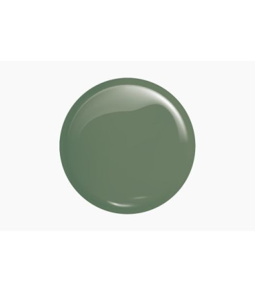 Victoria Vynn - Gel Polish 209 Dusty Green 8ml
