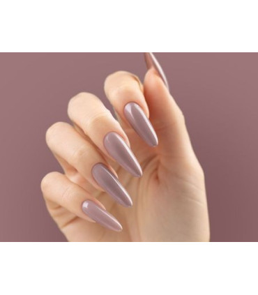 Victoria Vynn - Gel Pure 244 Field Wind 8ml