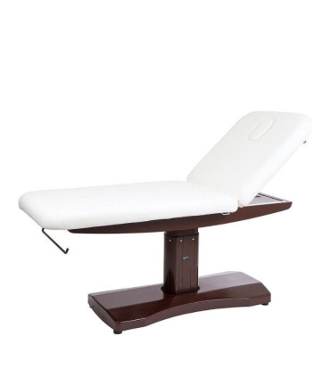 Camilla Eléctrica ⚡ 2 Motores 2238AI | 9 cm | Calidad-Precio