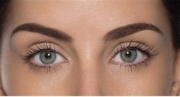 Guía de Moldes para Lifting de Pestañas: Cómo elegir la talla perfecta